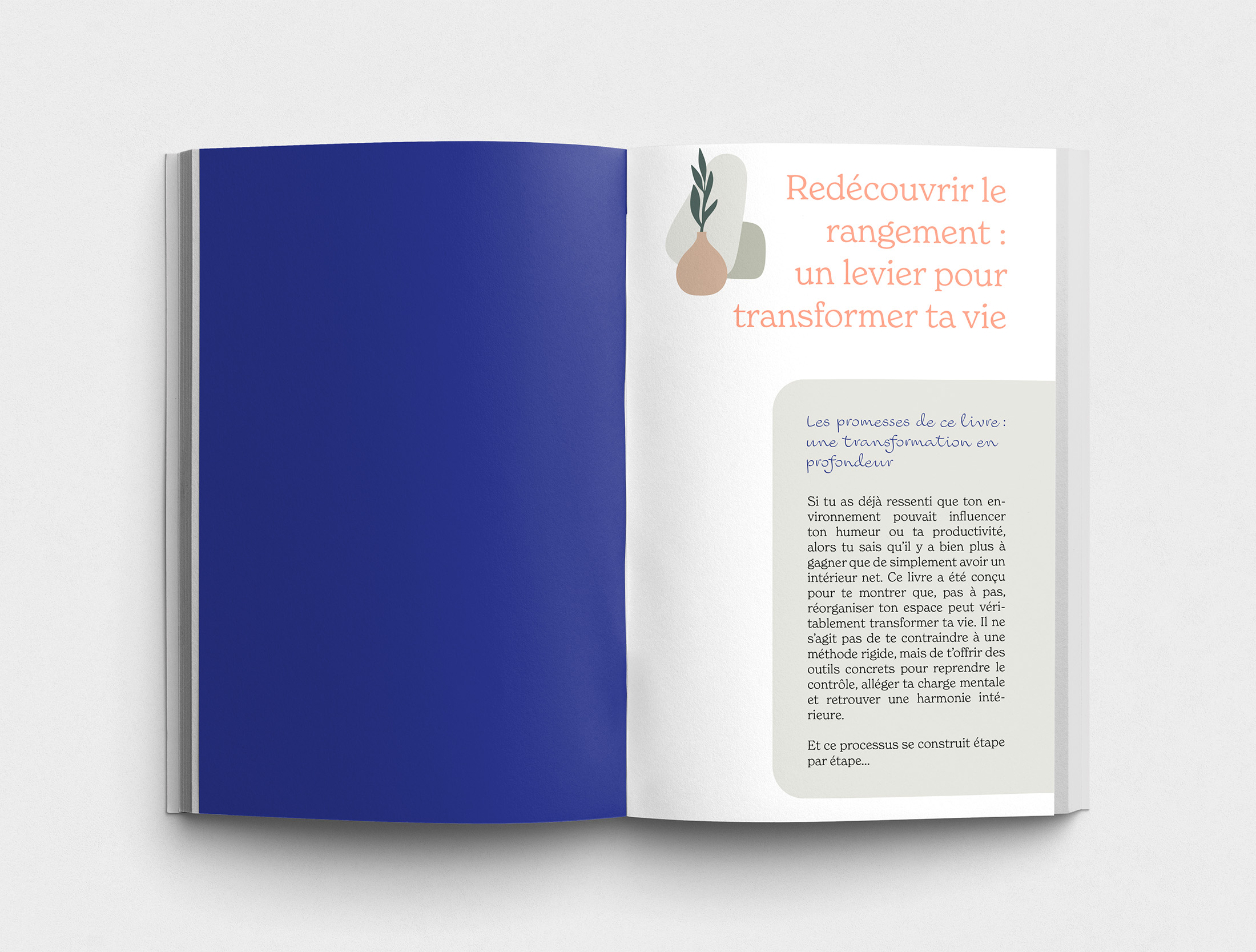 Livre de rangement et organisation, méthodes pour trier et désencombrer